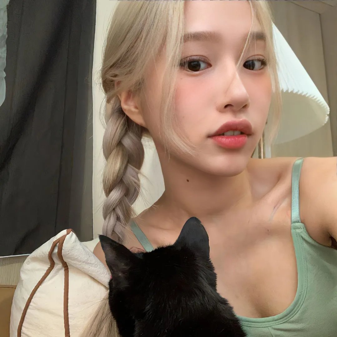 猫贼