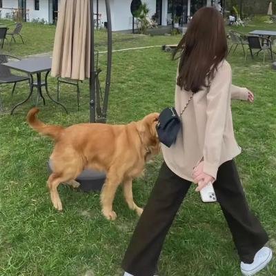 永恒的记忆