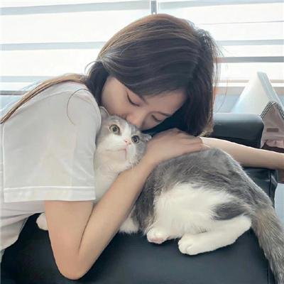 波丽士很忙